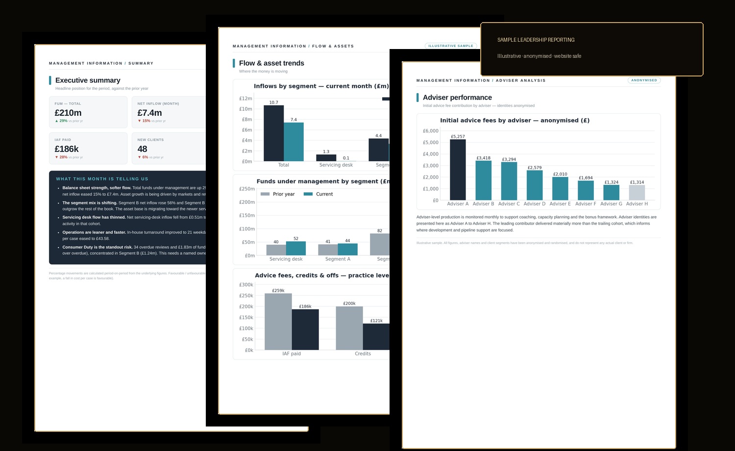 Anonymised sample leadership reporting pack preview